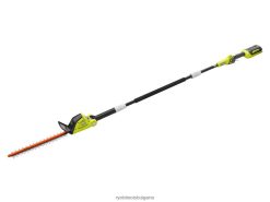 на открито бг RYOBI 40v 18-полюсен комплект ножици за жив плет 6HNVZ2337