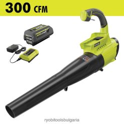 на открито бг RYOBI 40v 300 cfm реактивен вентилатор комплект вентилатор за листа 6HNVZ2311
